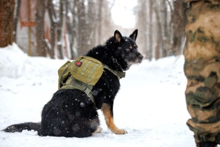 ��������� ����������� ���������������� ��������������� ����������� �������� ���� ������ �������� �� ��������� 50 ����������� ��������� ��� ��������� �����, ������������� �� �������� ��������� � ������� ��������� ��������� �...