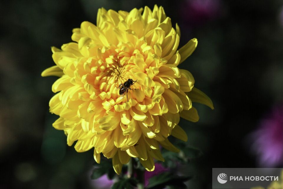 ����� ����� �� ����� ������ �� 8 �����: ������ �����������