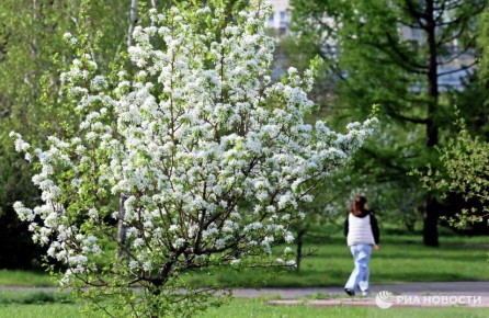 ����� "�������" ������ ��� �������� �� ������ � ��� ����� �����, �������� � �������, ������������ �����������