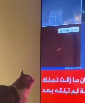 ����� ��� ������������������ ����������� ������ ��������� �������� ��������