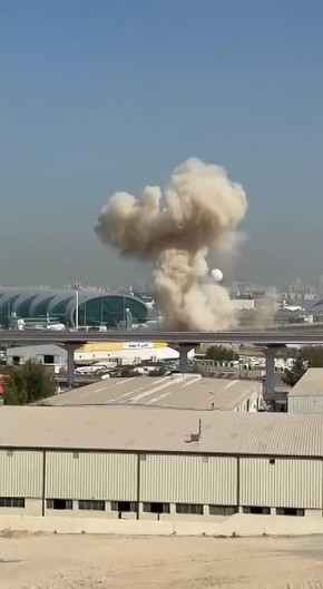 ������ ����������: ���, �����, ��������. ���� ����