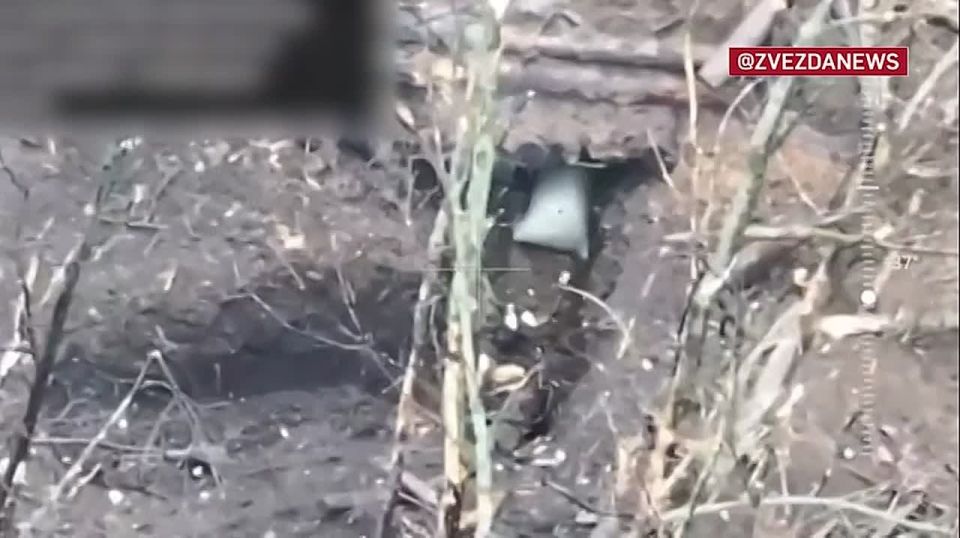 ���� ��������� ���������� �� ��������������� ����������� � � ��� "� �����" ��������� ���� ����