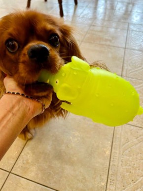 ���� ��������: ��� �� ��� �� ����� ������� ������� ���� ����������� �������