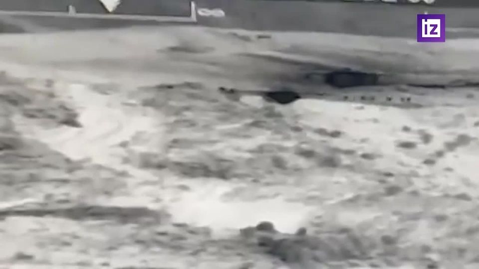 ����� ������������� � ������ ����� � ������ ������������ ������� � ������ ������ ���� �������������� ������� ���