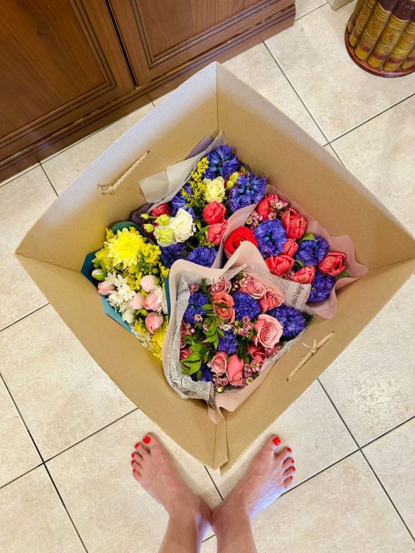 ���� ��������: ������,. ������, ���� ������ �����