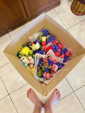 ���� ��������: ������,. ������, ���� ������ �����