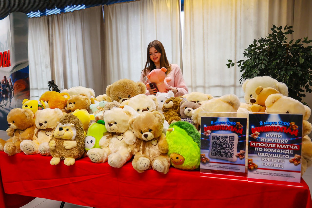 Матч добра: в тульском Ледовом дворце прошла благотворительная акция от АКМ Матч добра: в тульском Ледовом дворце прошла благотворительная акция от АКМ