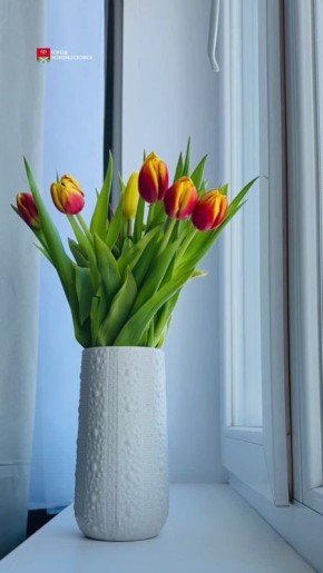 ��������� ���: �� ���� ����� �������������