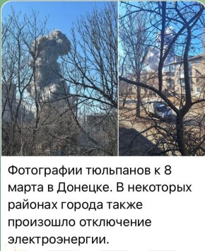 ���� ��������: ������� - ������-���������!