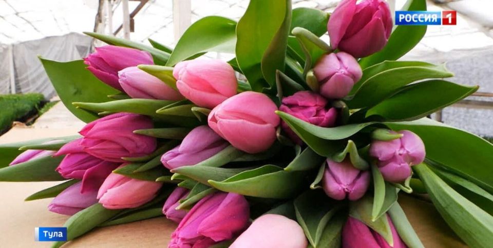 ������� ������ ��������� ������ � ���������� 8 �����