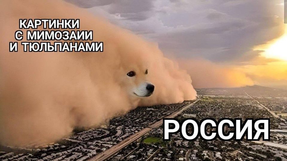 ��������!. ��������� �� ��� N3 / MAX