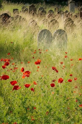 � �� ������ �����, ��� ����, ���� �� ������ ���-�� �� ���? �������: ������� �� ����� ��������