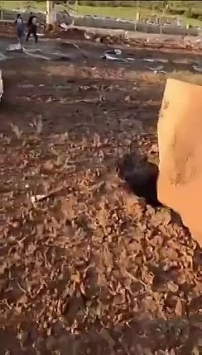 ������ ����������: �������. ����� ����������� ����� ����-����� ����� �� ����