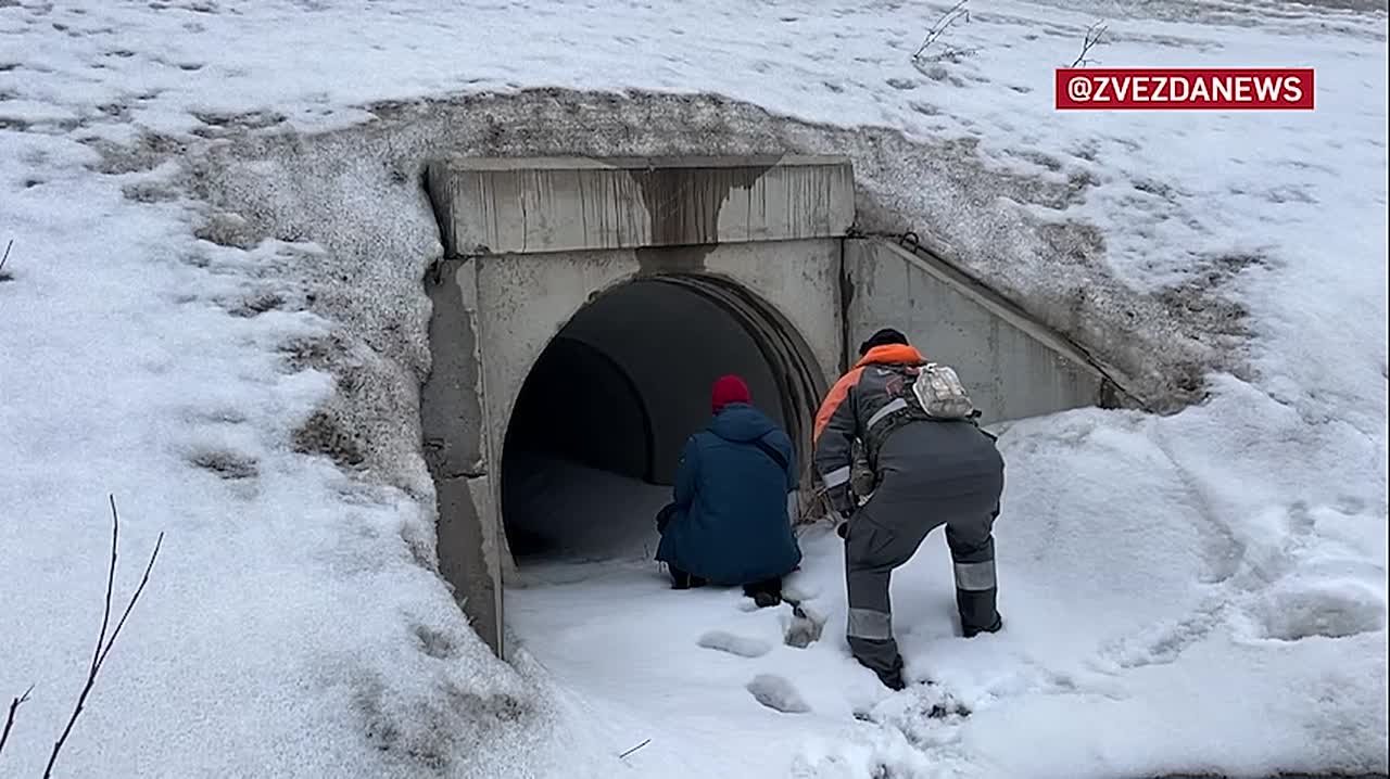 Спасатели ищут пропавших в Звенигороде детей с воздуха — в небо поднят вертолет
