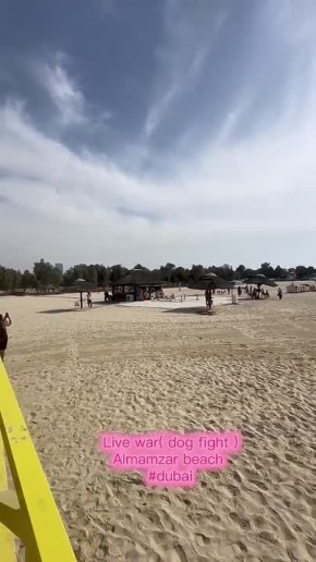 ������ ����������: �����. ����������� F-16 ��� ������� �������� ����������� Shahed-136 ��� ������