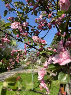 А, между прочим, на дворе весна!