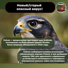 �������� ��������: ����� ������ Android-������ Falcon �������� ����� 10 ����� ���������� �� ���� ������