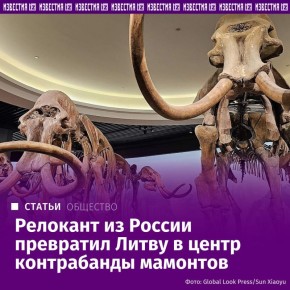 ������� ����� ����������� �� ������ � ������ ������ �������, ������� ����������� �������� � ������ ���������� �������� ������������ ������� � ����� �������� � ������ �������� �� �������� ������� ��������, �������� "��������"