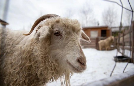 �������� ������: �������� ������ �������� 1,5 �������� �� �������� � ��������������