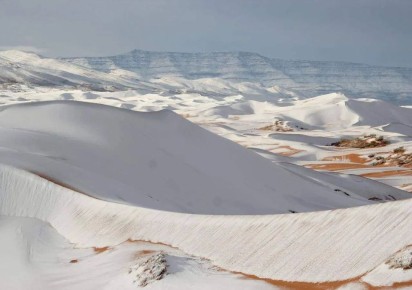 ����� ������ ����� ������