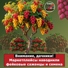 Малино-клубничные деревья, черные ягоды внушительного размера, яблоки в полоску — новые виды растений, выведенные талантливыми селекционерами, или фейк? Ответили в нашем канале в МАХ