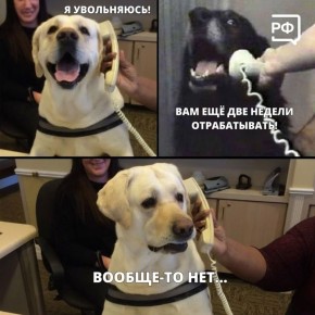 �� ������ ����������� ������������ ��� ������, ���� �� ������ ���������! � ��� �����������, ����� ����� �������� ��� �������������� ����������