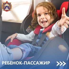 Безопасность превыше всего! Госавтоинспекция Тульской области объявляет о проведении операции «Ребёнок- главный пассажир!»