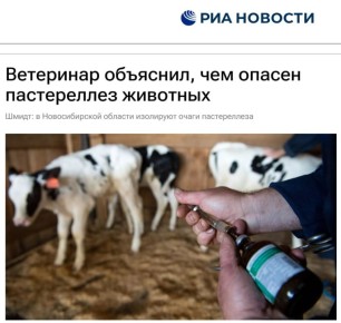 ������ ����������: �� ��� ������ ����� ������, ��� ��������� �������������� ���������� ������ �����������-����������� ����������� ���� ����� ���������� ��� ����������� �����: