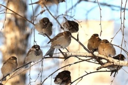 ���� ����: � � ������������� ������ ��������