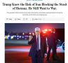 The Wall Street Journal: Трамп знал о риске того, что Иран заблокирует Ормузский пролив, но всё равно пошёл на войну