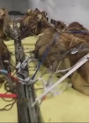 ��������� �� ����� ����� �� ����� �������