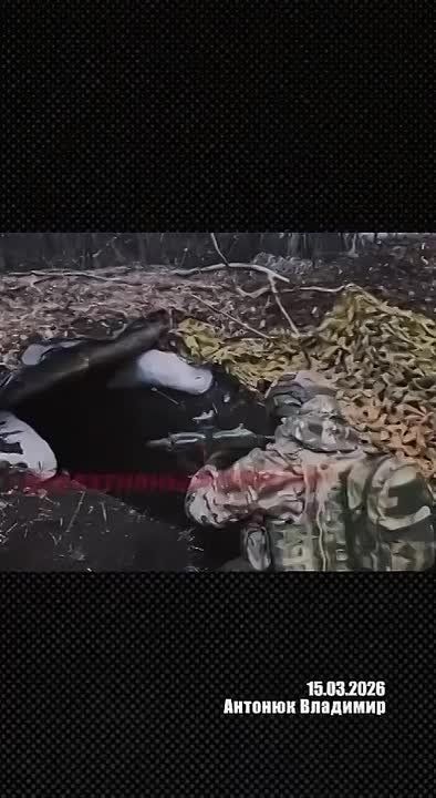 Àëåêñàíäð Ñëàäêîâ: Îôèöåð ÑÑÎ ÂÑÓ Âëàäèìèð Àíòîíþê, êîììåíòàðèè ñèòóàöèè â çîíå ÑÂÎ èç ðîññèéñêîãî ïëåíà