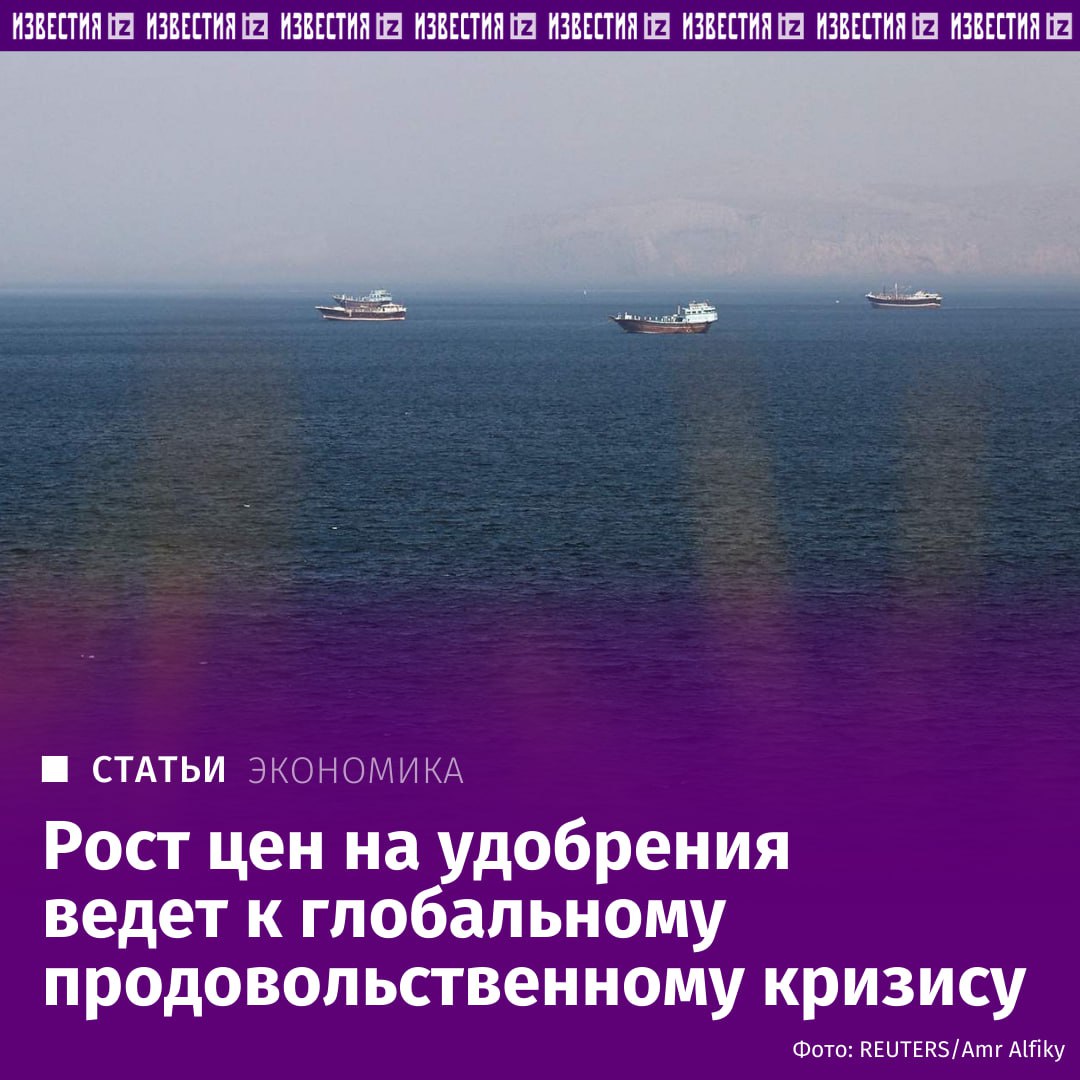 Закрытие Ормузского пролива привело к остановкам порядка 50% мирового экспорта удобрений, что может сорвать посевную кампанию и спровоцировать продовольственный кризис в Европе и Азии