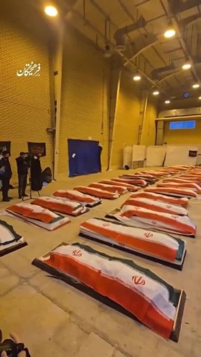 � ����� ������ �������� ������� ������� IRIS Dena, ���������������� ������������ ��������� ������ � ��������� ������